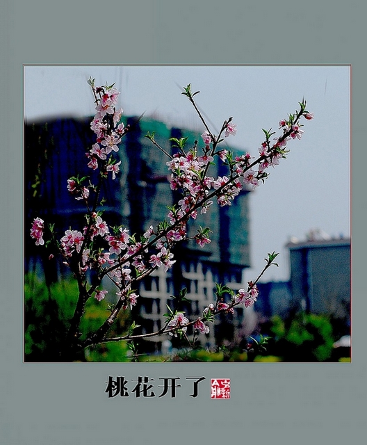 DSC_9190_conew1.JPG