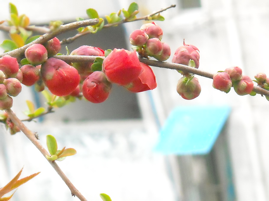 DSCN1129.JPG