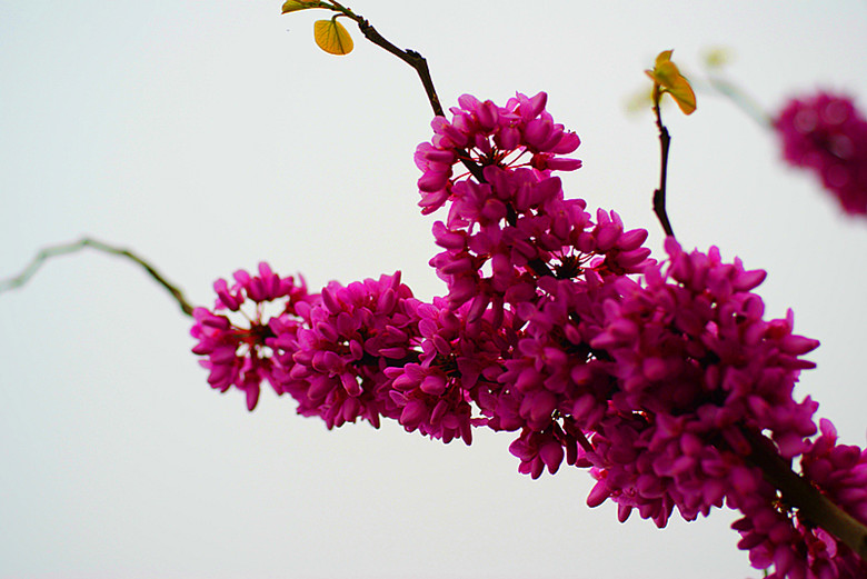 DSC04109_.jpg