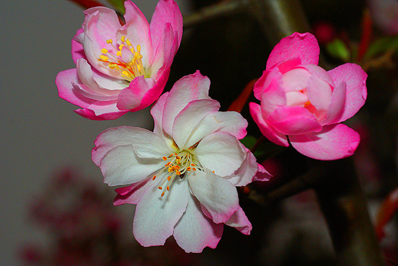 DSC04066_.jpg