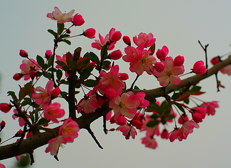 DSC04067_.jpg
