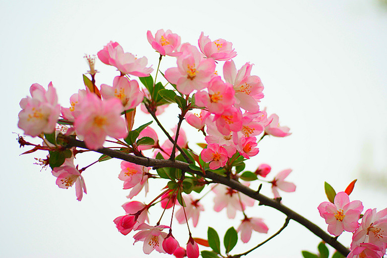 DSC04071_.jpg