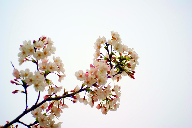 DSC04085_.jpg