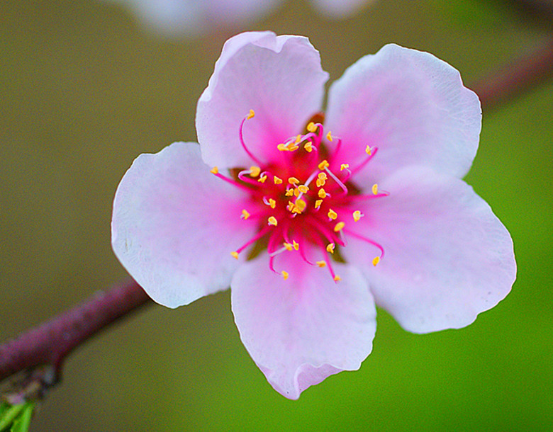 DSC04099_.jpg