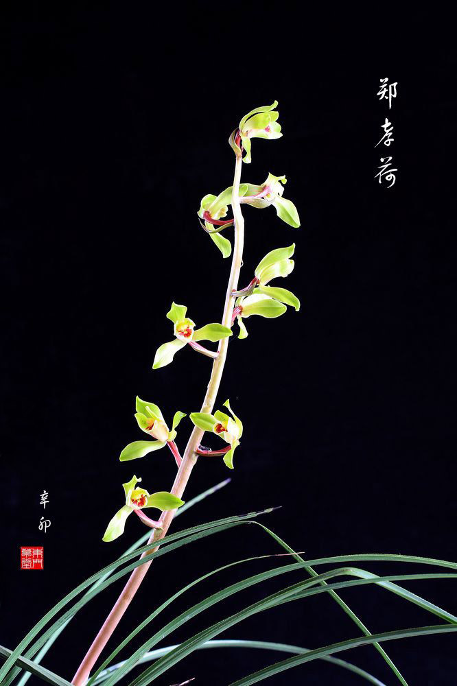 201157221324_d538c5d5.jpg