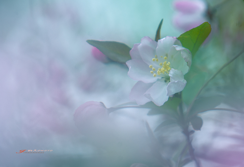 _IGP6020-1Ϊܶ-1.jpg