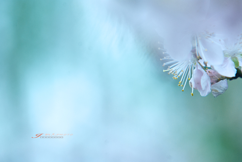 _IGP6032-1Ϊܶ-1.jpg