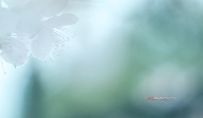 _IGP6048-1Ϊܶ-1.jpg