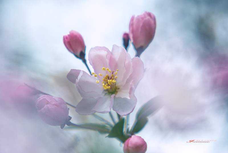 _IGP6019-1Ϊܶ-1.jpg