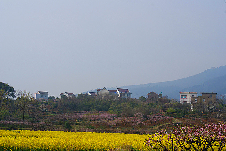 DSC04207_.jpg