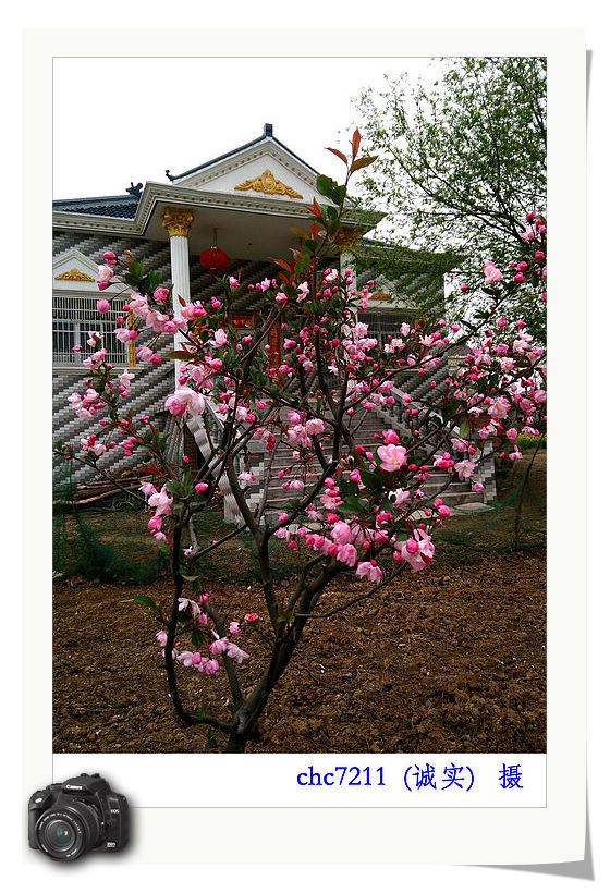 IMG20130323154603454.jpg
