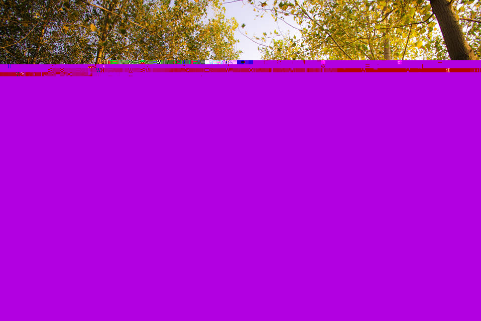 _MG_2234_1__.jpg