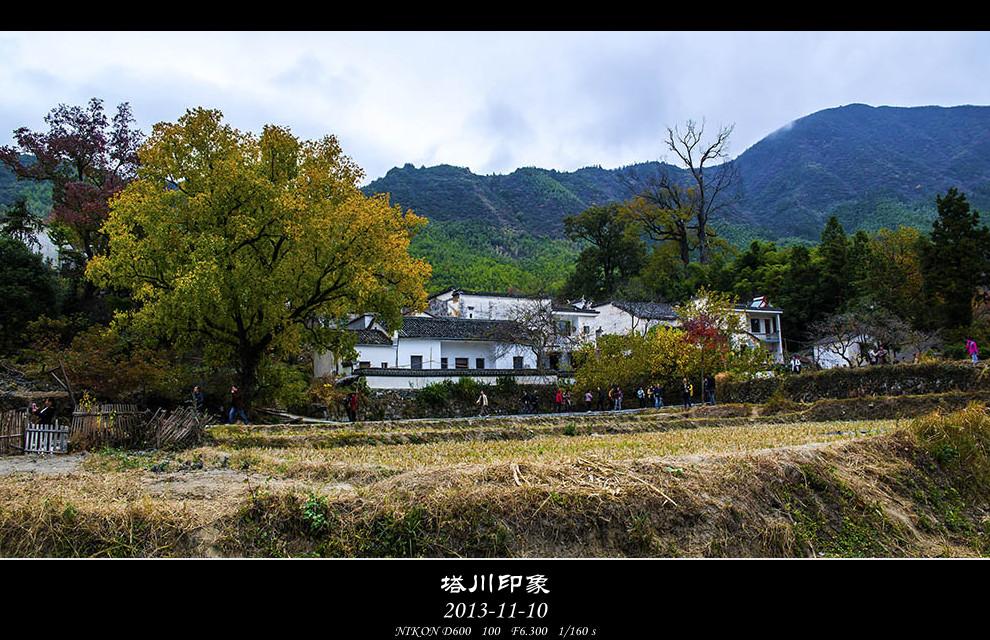 DSC_3228-s_.jpg