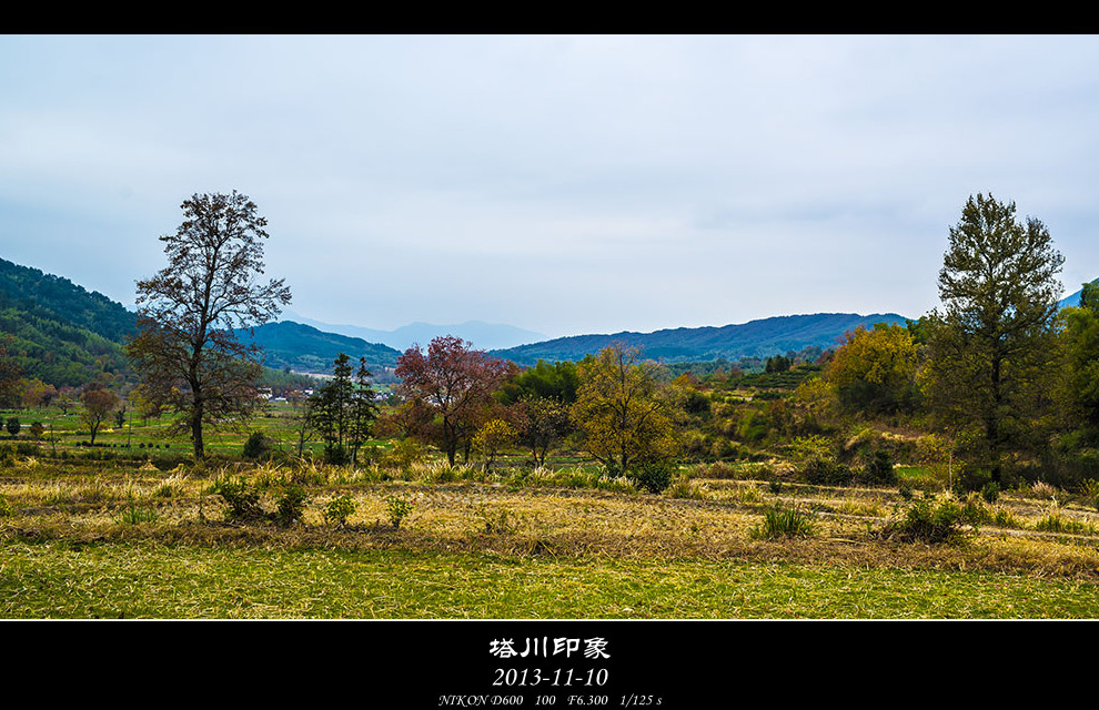DSC_3203-s_.jpg