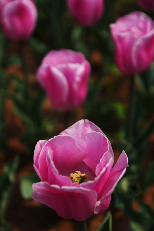 IMG_8041_.jpg