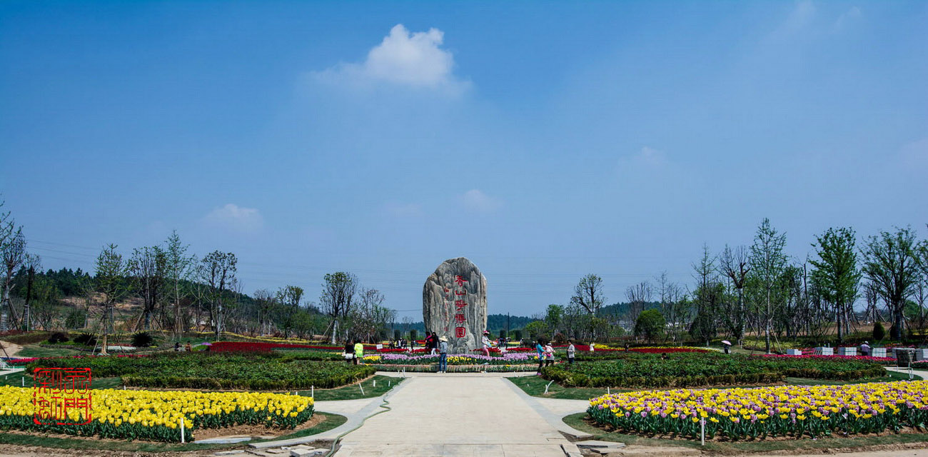 DSC_1950a.jpg
