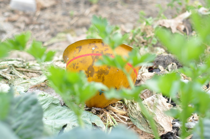 DSC_0335_С.JPG