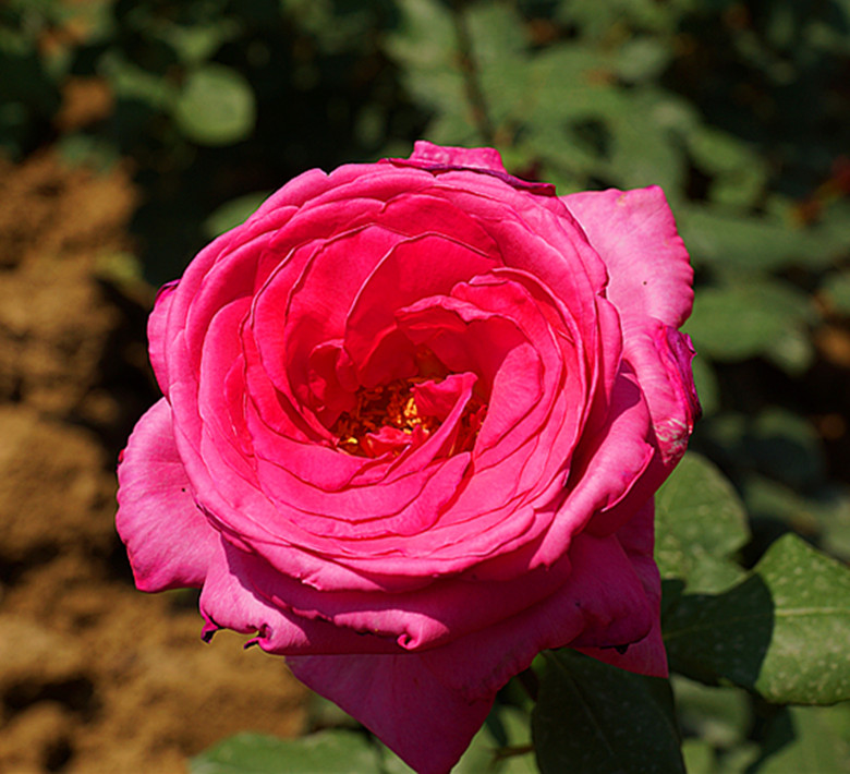 DSC02397_.jpg
