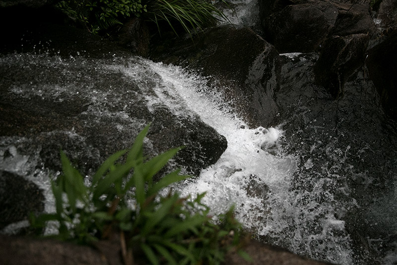 _D4A7131.jpg