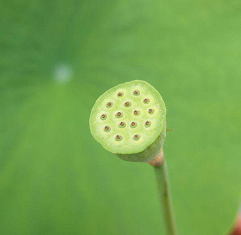 DSC03383_.jpg