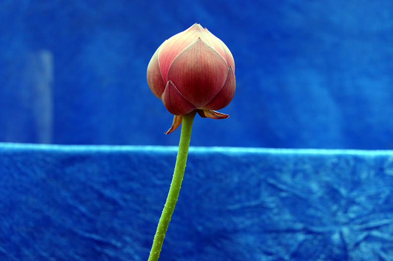 DSC03386_.jpg