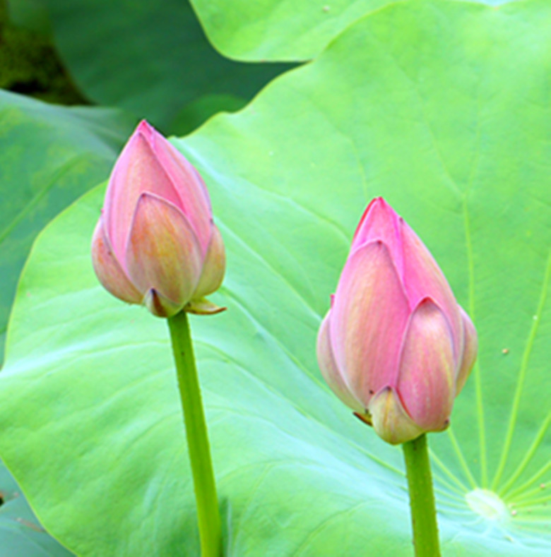 DSC03404_.jpg