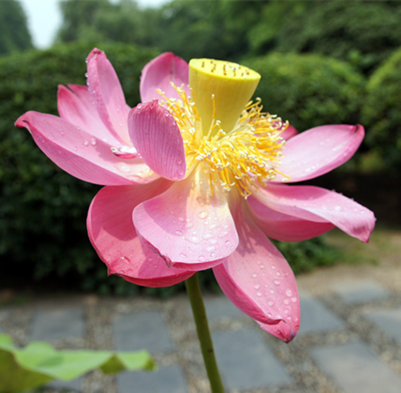 DSC03342_.jpg