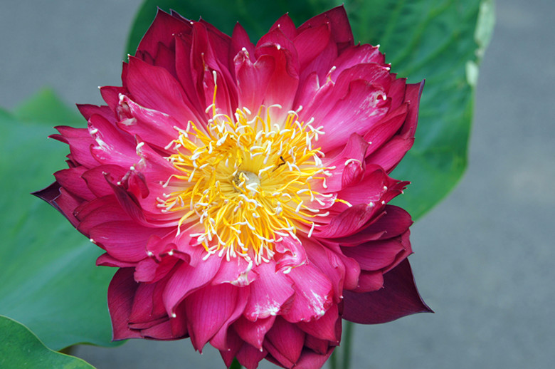 DSC03349_.jpg