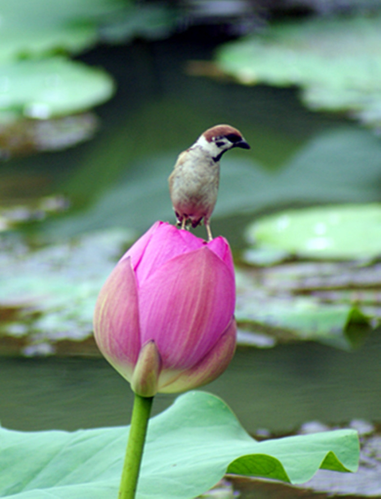 DSC08765_.jpg