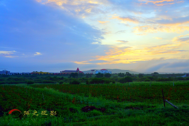 DSC02367_.jpg