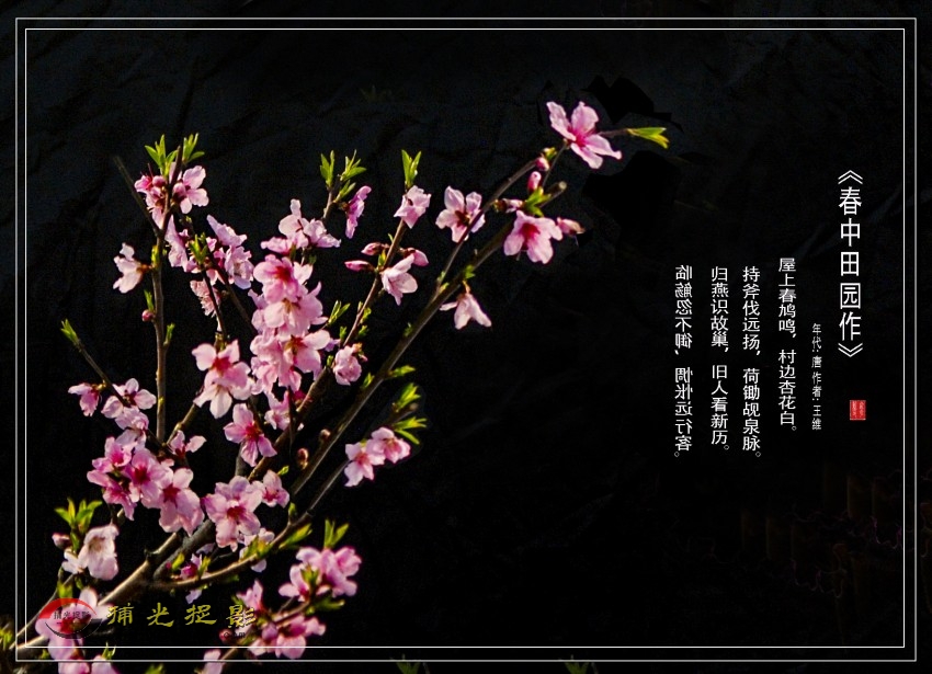һ3_conew1.jpg
