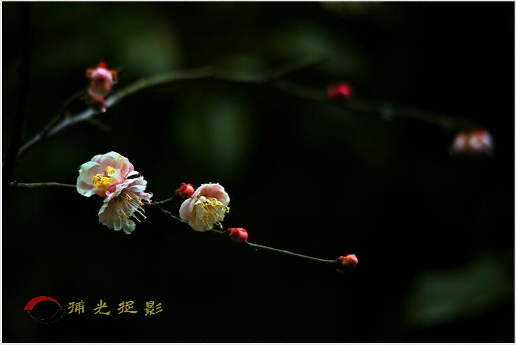 QQͼƬ20170209004932.jpg
