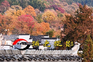 CJP_6367.jpg