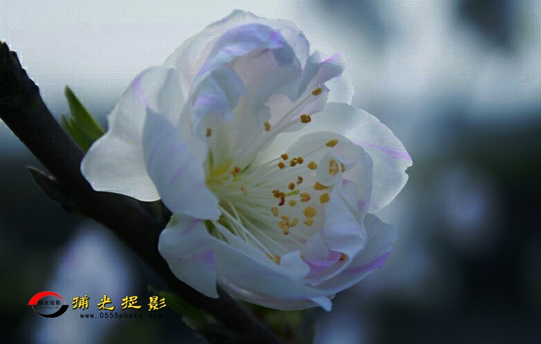 Fotor_152962552516139.jpg