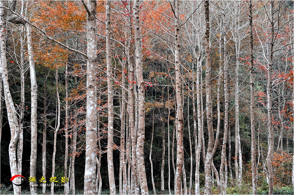 LCL_3159.jpg