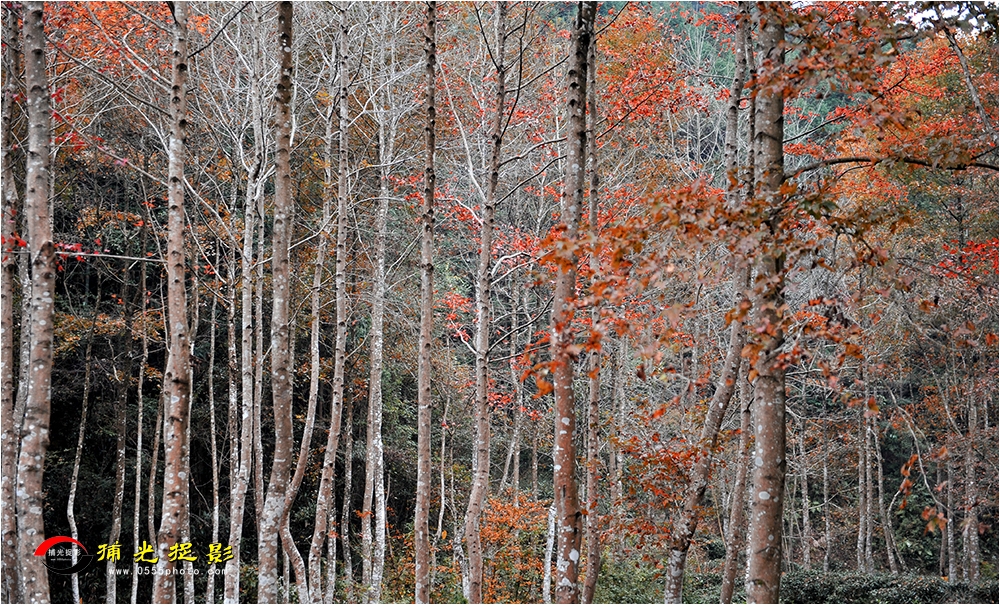 LCL_3160.jpg