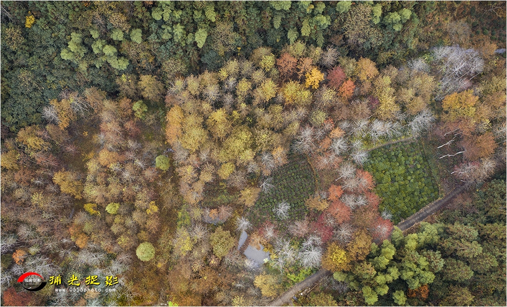 DJI_0688.jpg