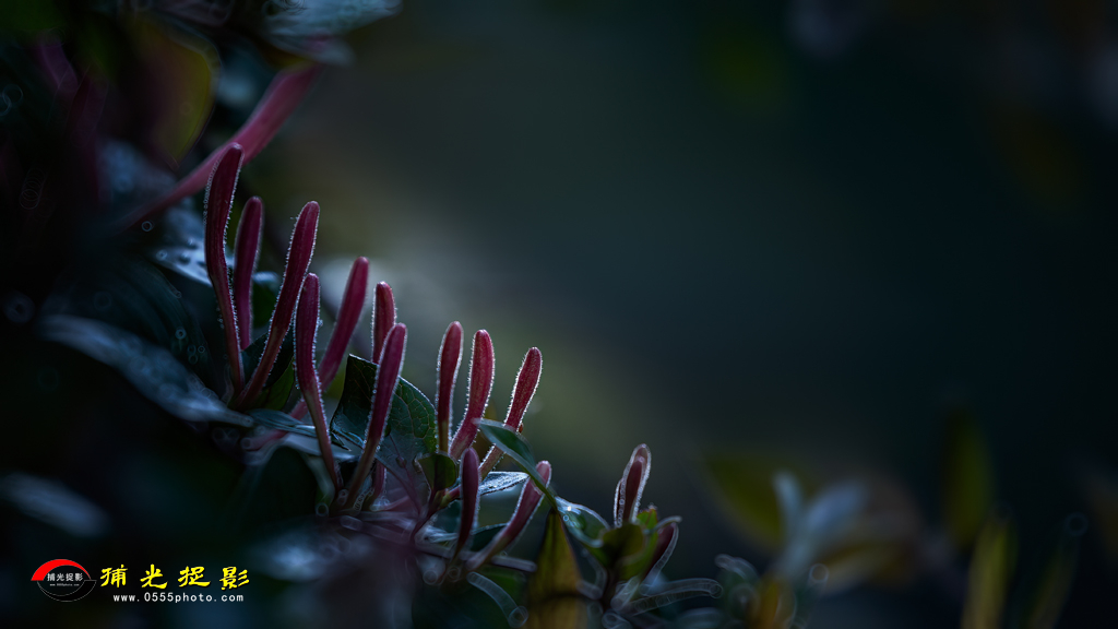 B36A8296-1.jpg