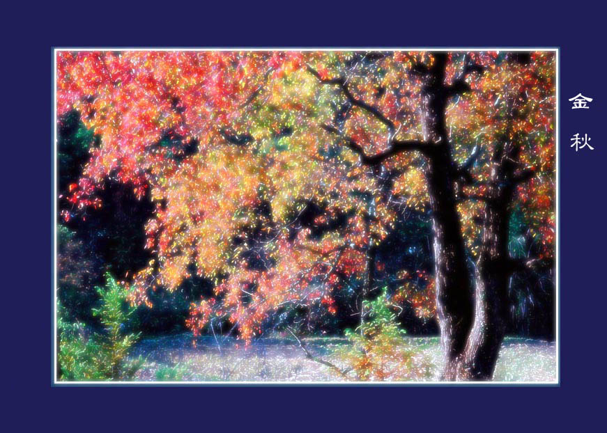 MAS-11-028�����