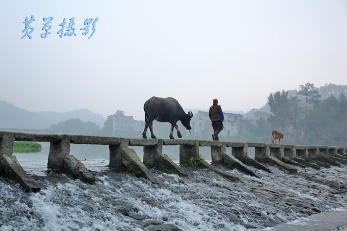 [ԭ��]�㽭�ɶ���Ӱ