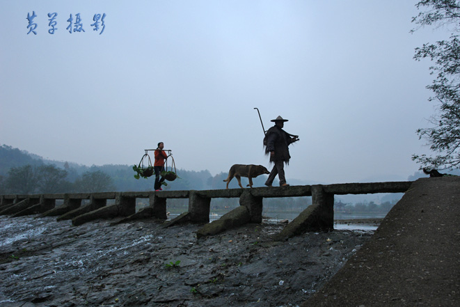 [ԭ��]�㽭�ɶ���Ӱ