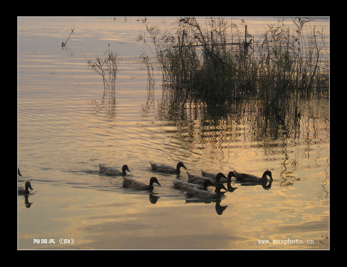 [����]����ɽ��������Ӱѧ�ᡰ����Ȼ�Ĺ�Ӱ����Ʒչ���£�