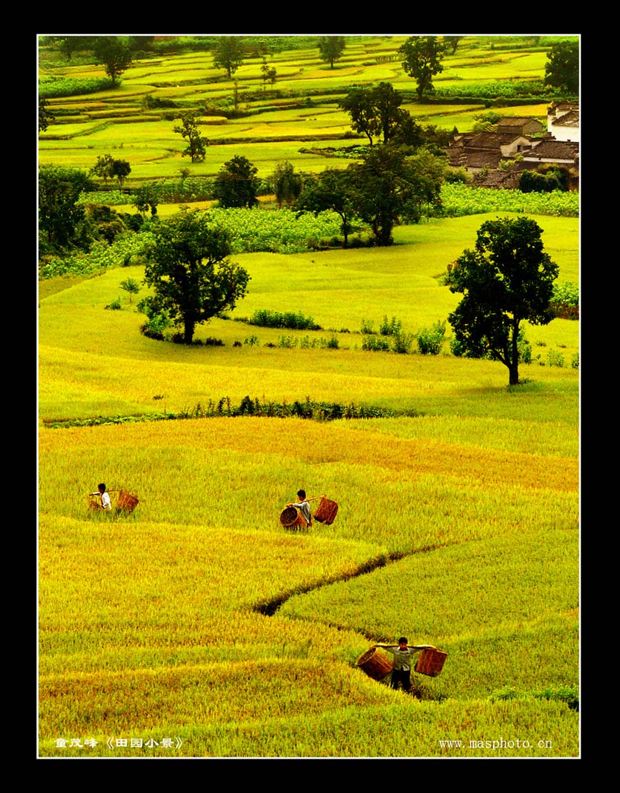 [����]����ɽ��������Ӱѧ�ᡰ����Ȼ�Ĺ�Ӱ����Ʒչ���£�