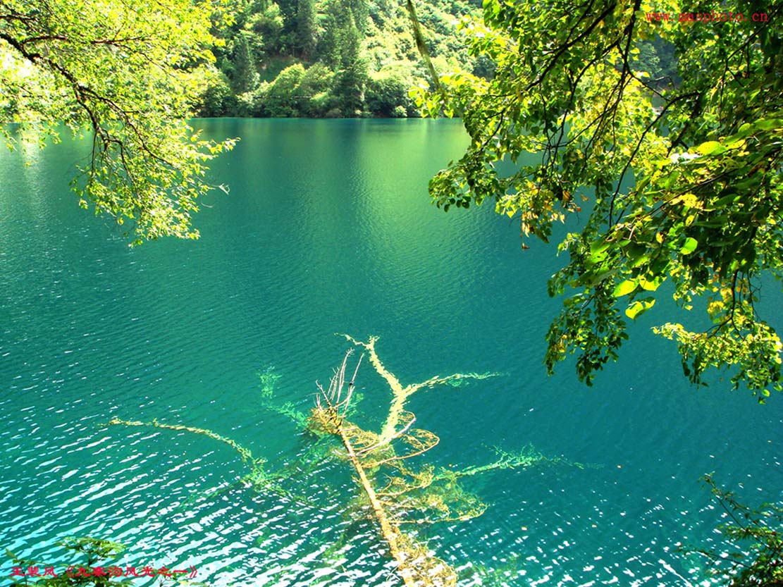 [����]����ɽ��������Ӱѧ�ᡰ����Ȼ�Ĺ�Ӱ����Ʒչ���£�