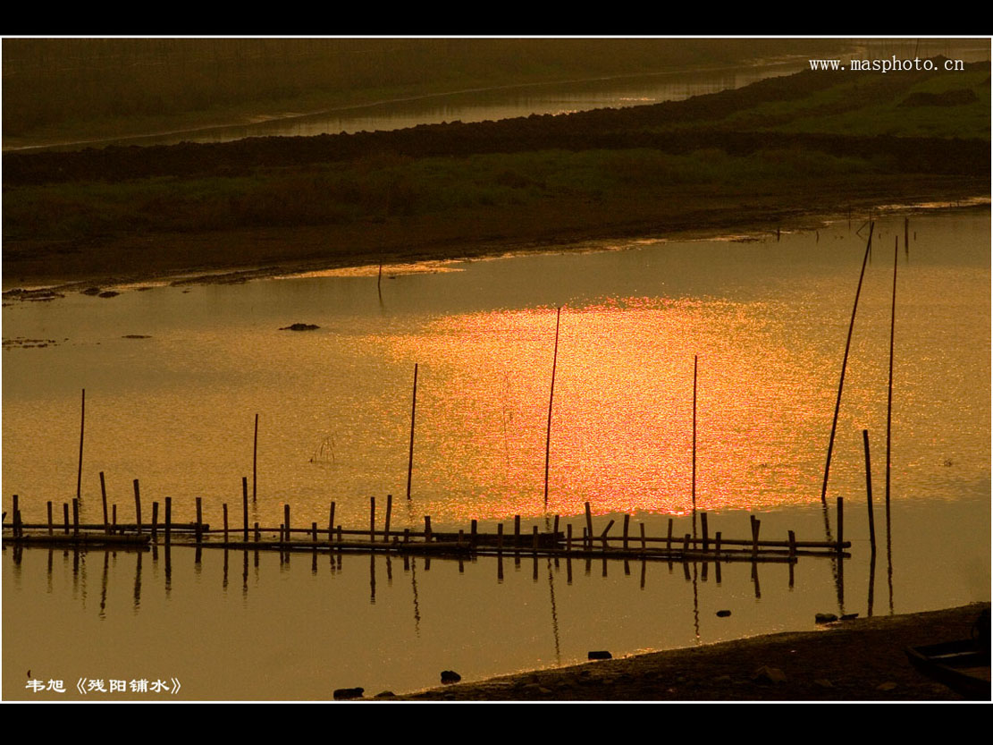 [����]����ɽ��������Ӱѧ�ᡰ����Ȼ�Ĺ�Ӱ����Ʒչ���£�