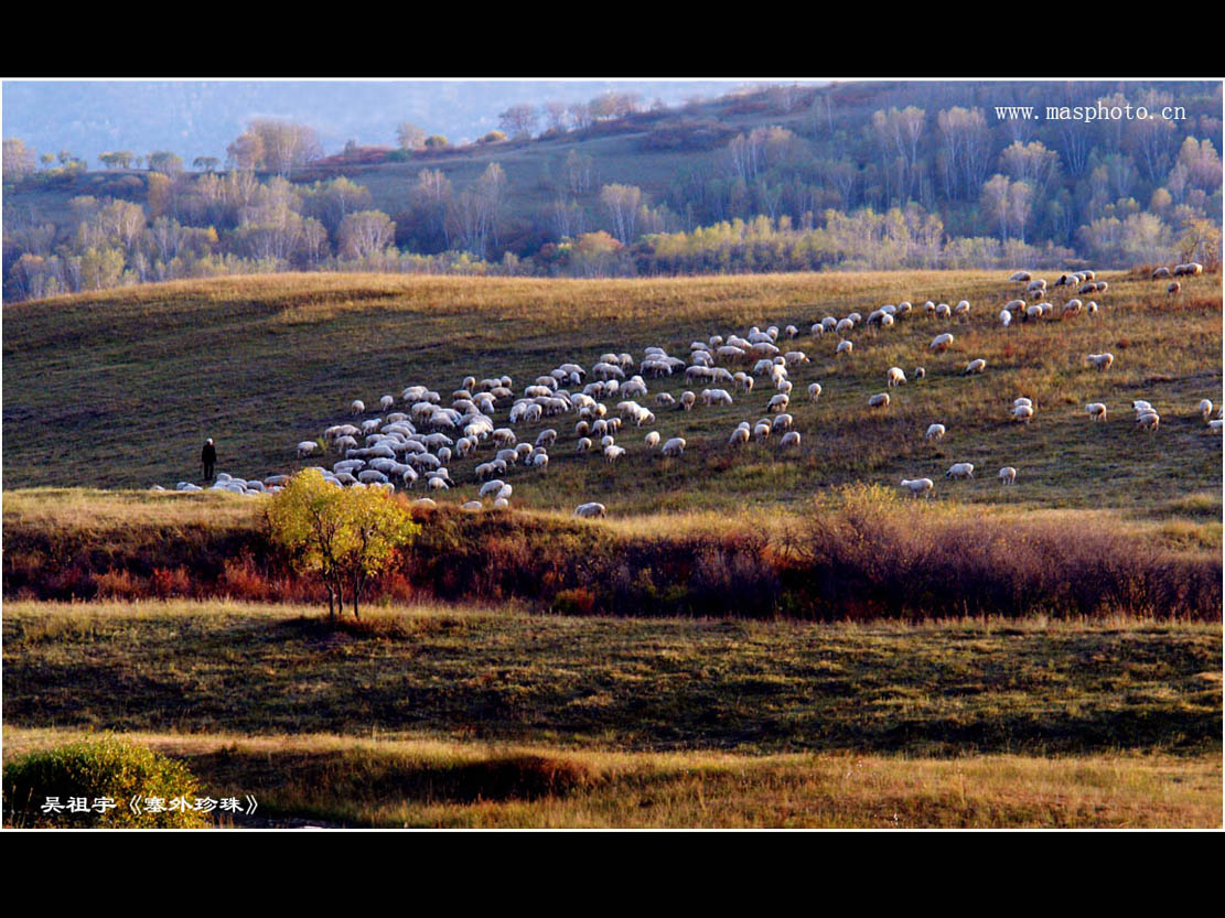 [����]����ɽ��������Ӱѧ�ᡰ����Ȼ�Ĺ�Ӱ����Ʒչ���£�