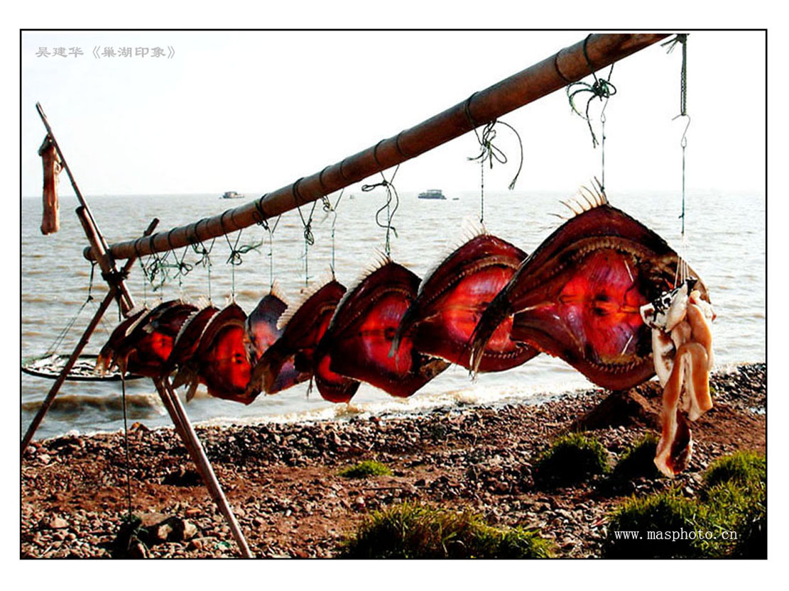 [����]����ɽ��������Ӱѧ�ᡰ����Ȼ�Ĺ�Ӱ����Ʒչ���£�