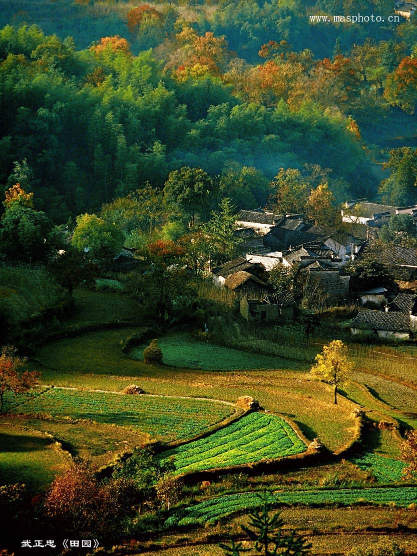 [����]����ɽ��������Ӱѧ�ᡰ����Ȼ�Ĺ�Ӱ����Ʒչ���£�