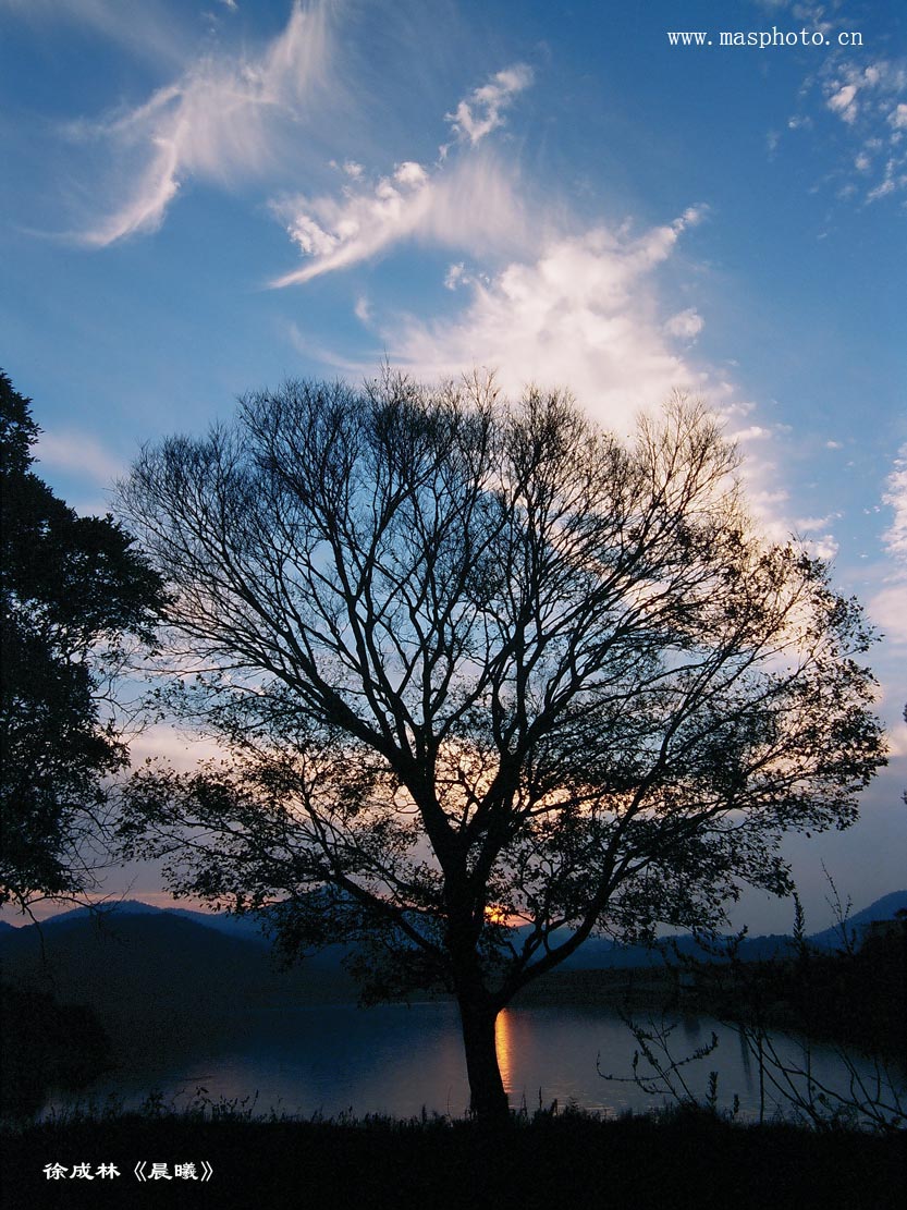 [����]����ɽ��������Ӱѧ�ᡰ����Ȼ�Ĺ�Ӱ����Ʒչ���£�