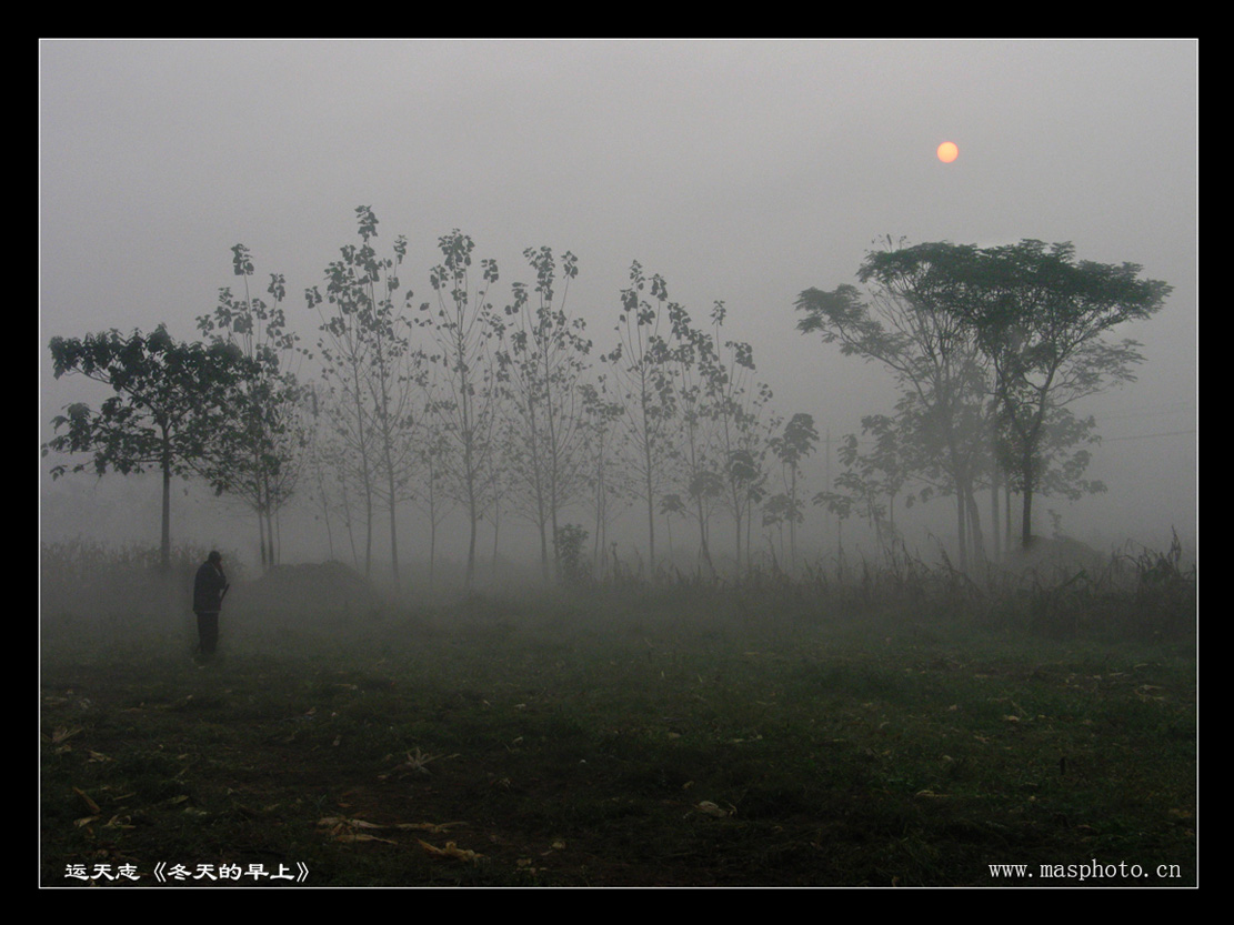 [����]����ɽ��������Ӱѧ�ᡰ����Ȼ�Ĺ�Ӱ����Ʒչ���£�